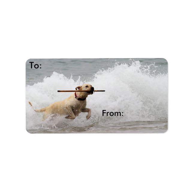 Labrador - Gult - Fetch! Adressetikett (Framsidan)