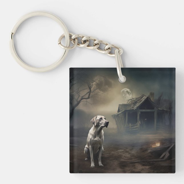 Labrador Halloween Skräckinjagande (Framsidan)