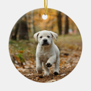 Labrador-hämmare Julgransprydnad Keramik
