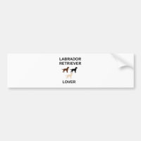 labrador hämtar älskare all färg silhouette