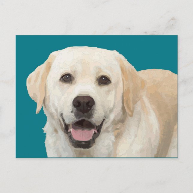 Labrador-hämtning 1 vykort (Framsida)