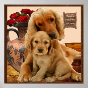Labrador-hämtning poster