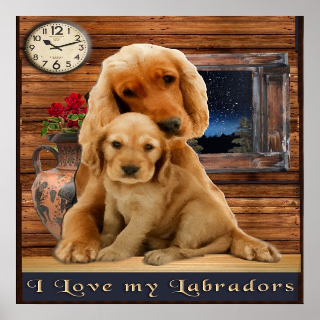 Labrador-hämtning poster (Framsidan)