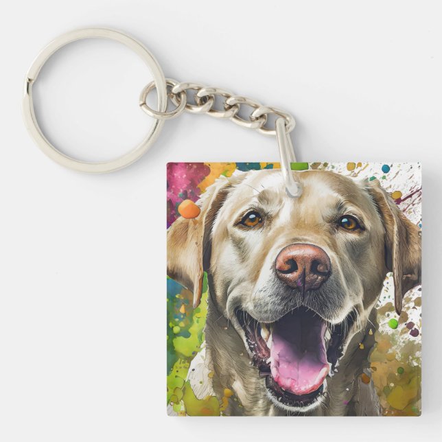 Labrador Hund (Framsidan)