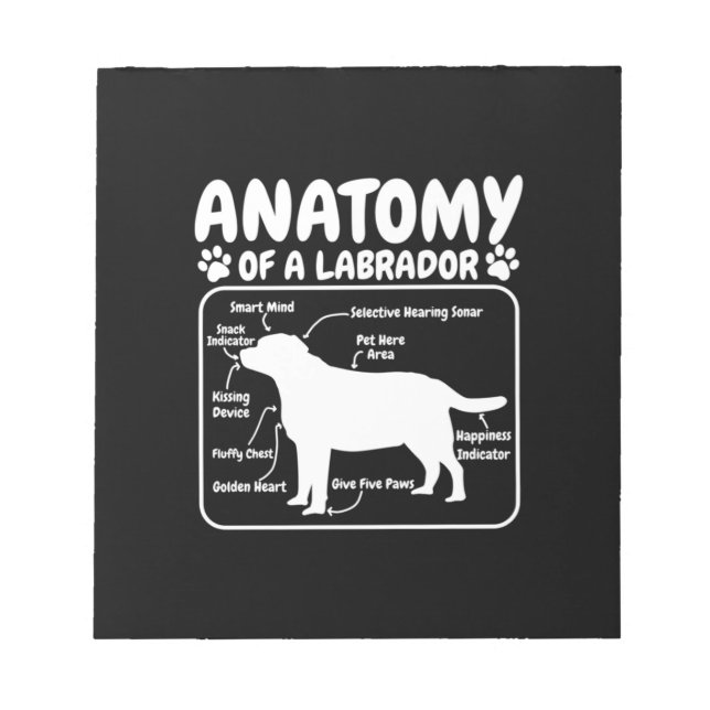 Labrador Hund Anatomy Anteckningsblock (Framsida)