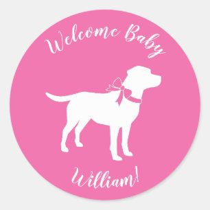 Labrador Hund Baby Shower Rosa Girl Lab Runt Klistermärke