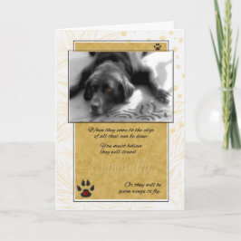 Labrador Hund Black White med Gult Pet Sympathy Kort