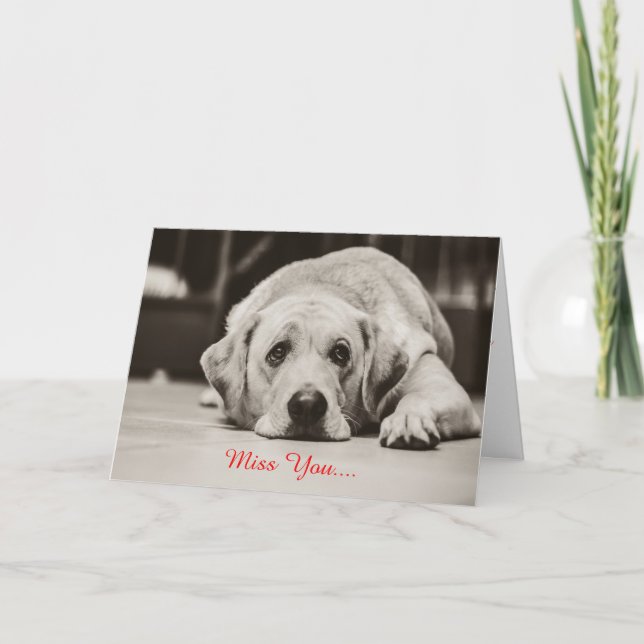 Labrador hund Fröcken dig hälsningkort Kort (Framsida)