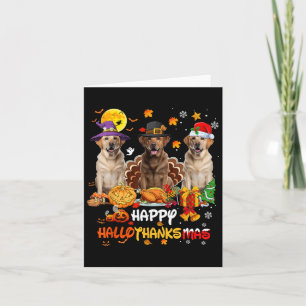 Labrador Hund Happy halloween Thanksgiving Merry C Kort