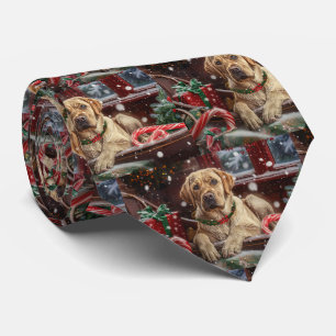 Labrador Hund julafton Slips