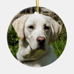 LABRADOR HUND JULGRANSPRYDNAD KERAMIK