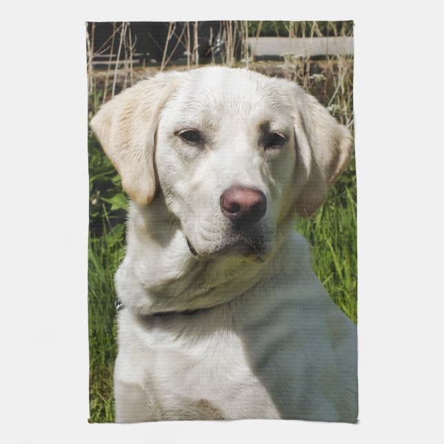 LABRADOR HUND KÖKSHANDDUK (Vertikal)