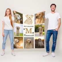 Labrador Hund Personlig