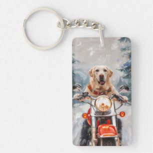 Labrador Hund Riding Motorcle jul