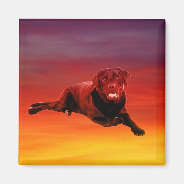 Labrador Hund Sitta om Beach Magnet (Framsidan)