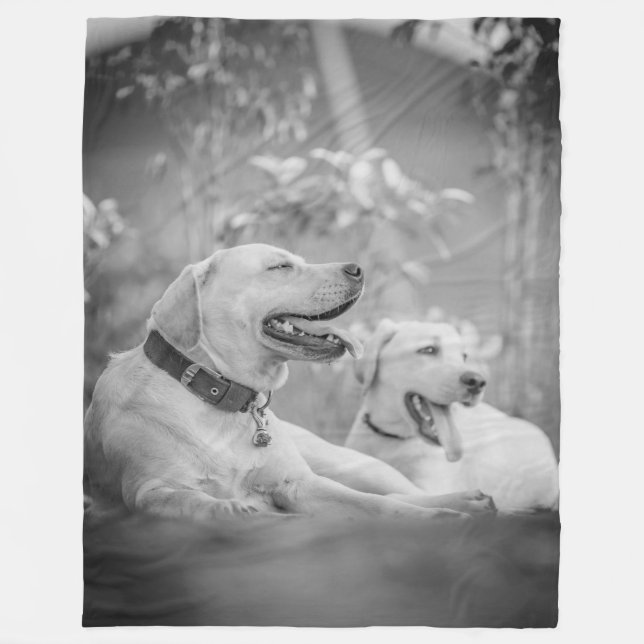 LABRADOR HUNDAR RELAXING FLEECEFILT (Framsidan)