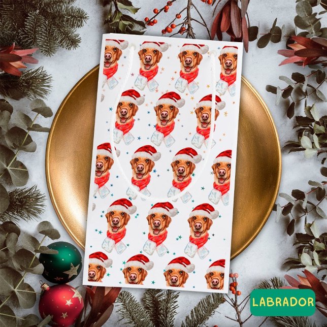 Labrador Hundras Jul (Skapare uppladdad)