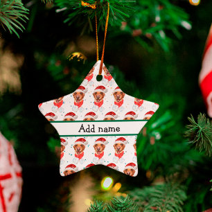 Labrador Hundras Jul Julgransprydnad Keramik