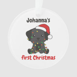 Labrador jul Babys första jul