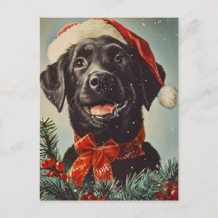 Labrador jul vykort
