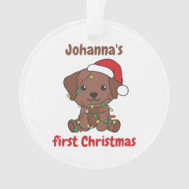 Labrador julafton Babys första jul