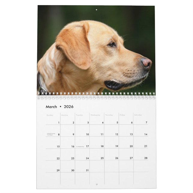 Labrador kalender (Mar 2026)