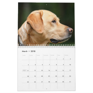 Labrador kalender