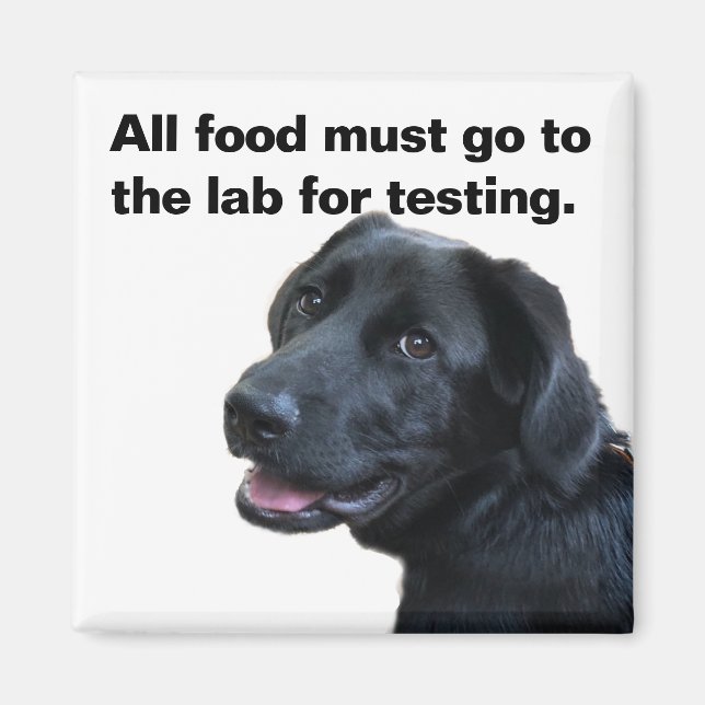 Labrador Kärlek Magnet (Framsidan)