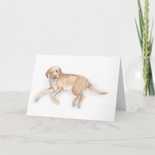 Labrador-kort Kort