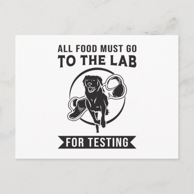 Labrador Lab för testning av Retriever Hund Funny Vykort (Framsida)