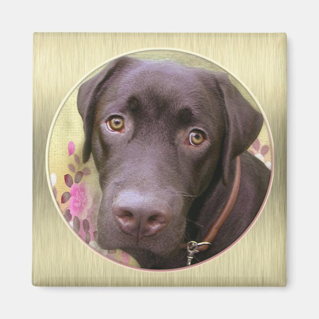 Labrador Magnet (Framsidan)
