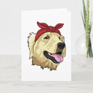 Labrador med Bandana Kort