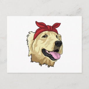 Labrador med bandana vykort