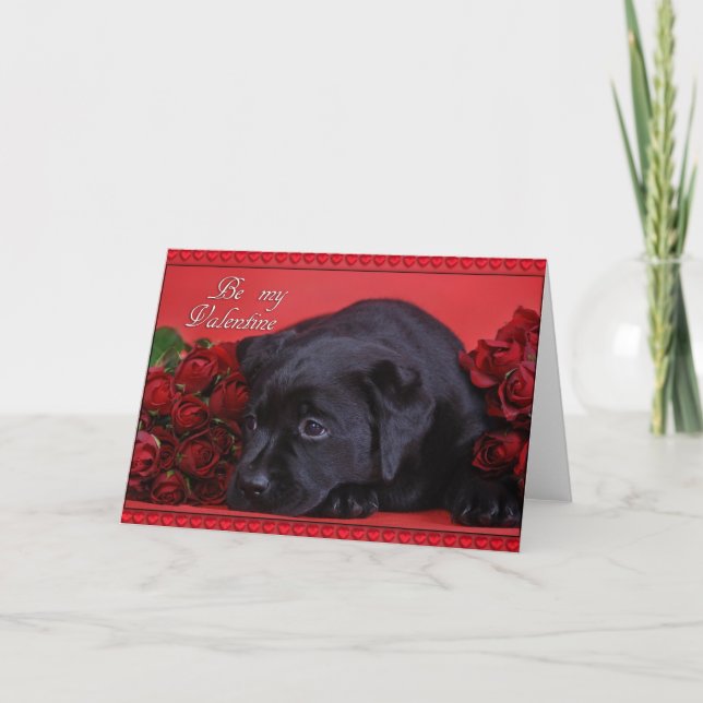Labrador med rosor kort (Framsida)