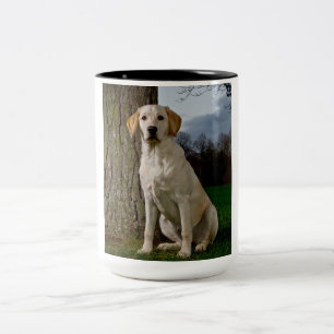Labrador Mugg