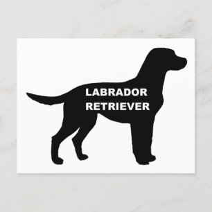 labrador namn silhouette vykort