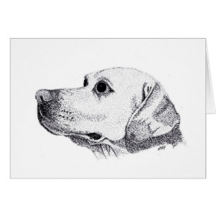 Labrador OBS Kort