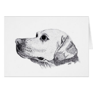Labrador OBS Kort