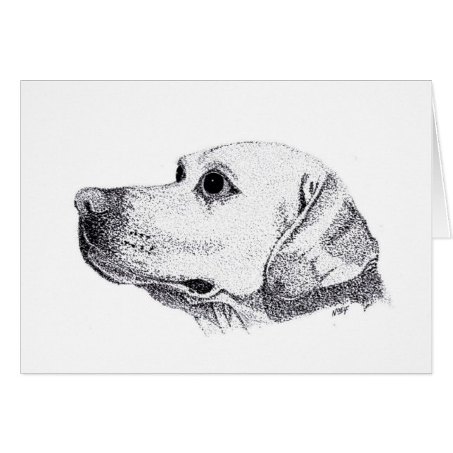 Labrador OBS Kort (Framsidan Horizontal)