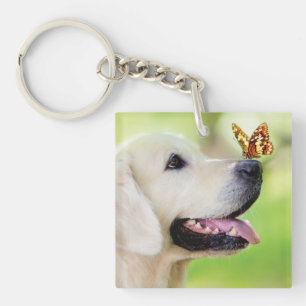 Labrador och fjäril Dekorativ kudde