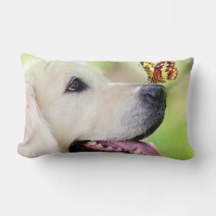 Labrador och fjäril Dekorativ kudde