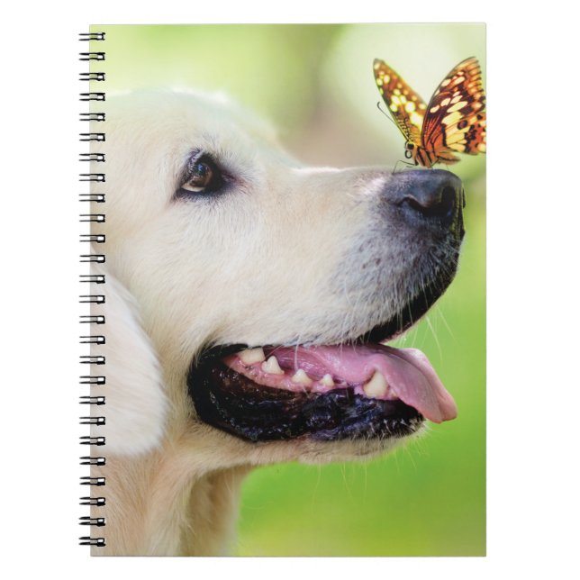 Labrador och fjäril Dekorativ kudde Anteckningsbok (Framsidan)