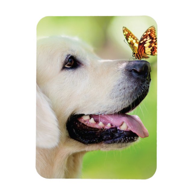 Labrador och fjäril Dekorativ kudde Magnet (Vertikal)