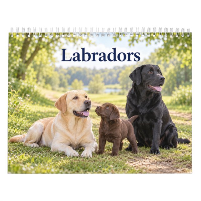 Labrador och Labrador-valpar Kalender (Omslag)