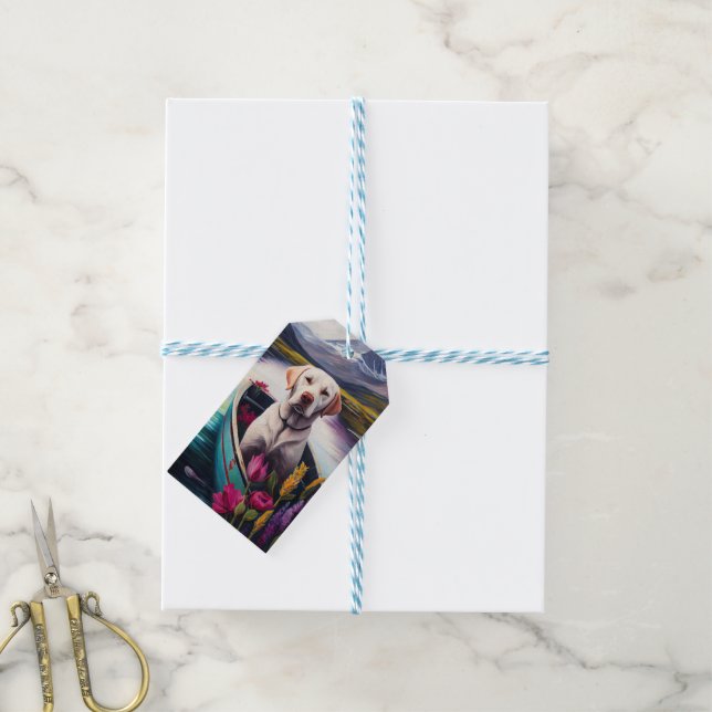 Labrador på en Paddle: En kristen Äventyr Presentetikett (Med Snöre)