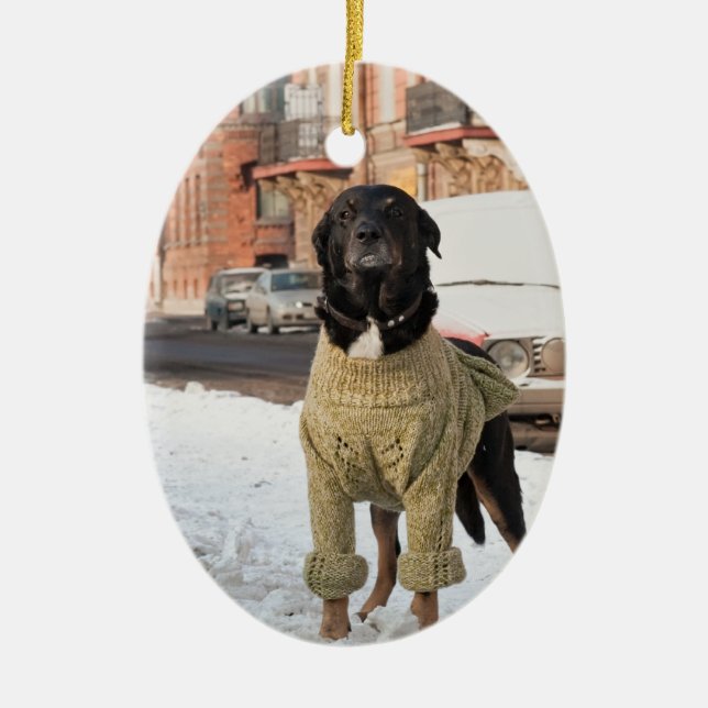Labrador Photo jul Ornament (Framsidan)