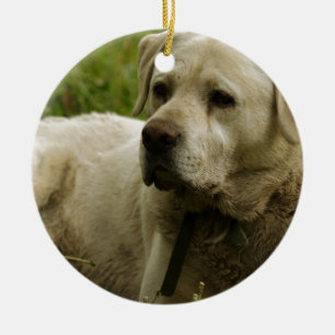 Labrador Photo Julgransprydnad Keramik