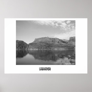 Labrador Poster