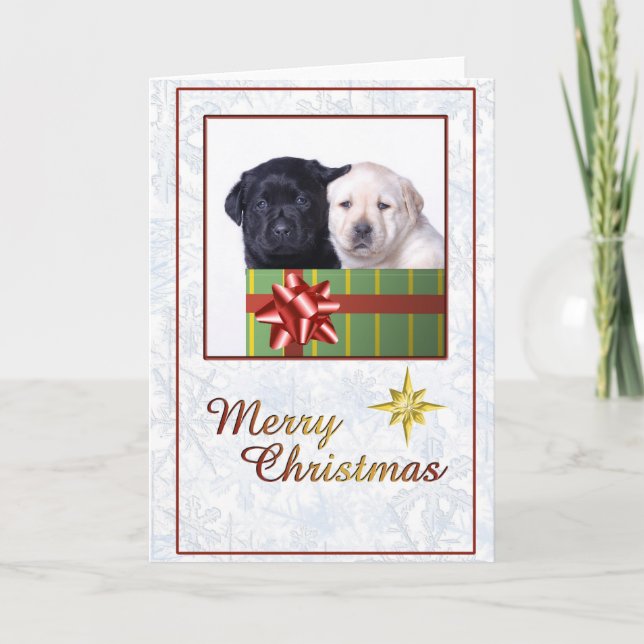 Labrador puppies christmas-kort helgkort (Framsida)