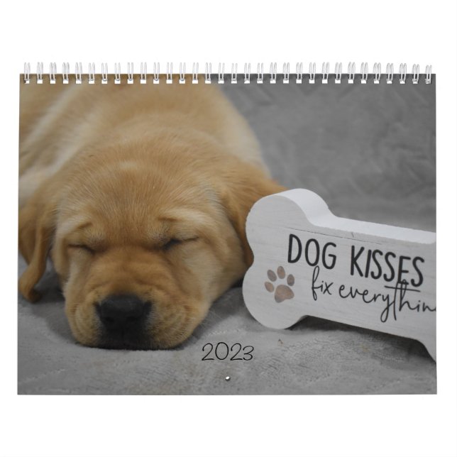 Labrador Puppies Kalender (Omslag)